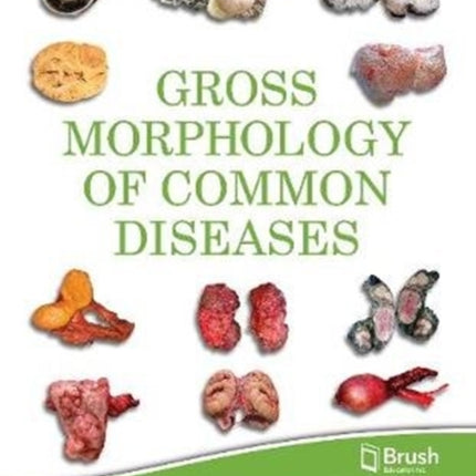 Gross Morphology of Common Diseases