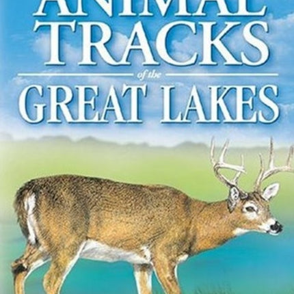 Animal Tracks of the Great Lakes