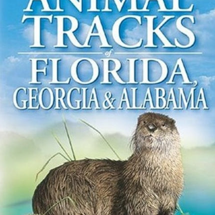 Animal Tracks of Florida, Georgia and Alabama