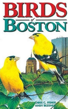 Birds of Boston