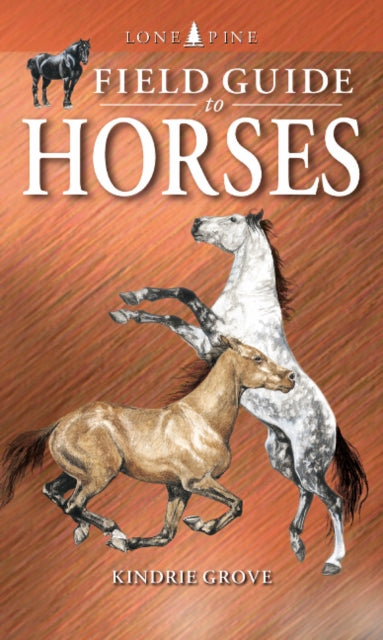 Field Guide to Horses