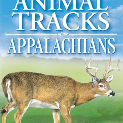 Animal Tracks of the Appalachians