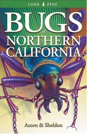 Bugs of Northern California