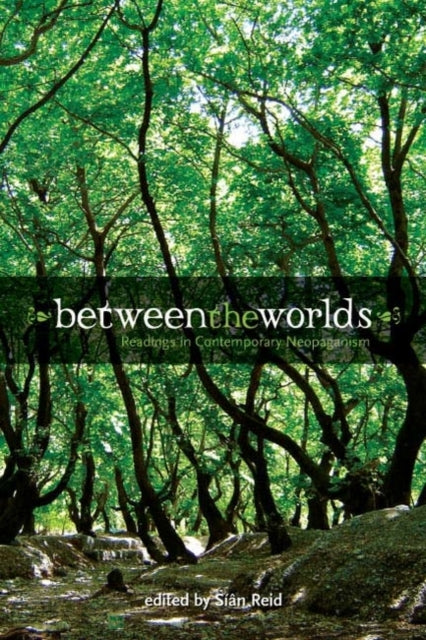Between the Worlds: Readings in Contemporary