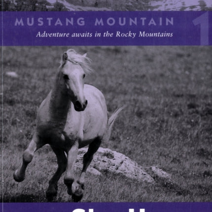 Sky Horse 1 Mustang Mountain