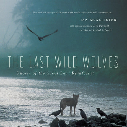 The Last Wild Wolves: Ghosts of the Rain Forest