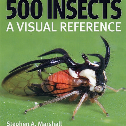 500 Insects: A Visual Reference