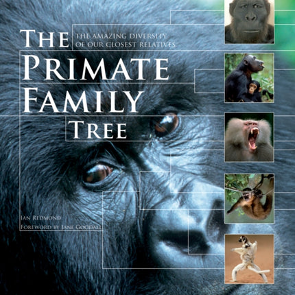 The Primate Family Tree: The Amazing Diversity of