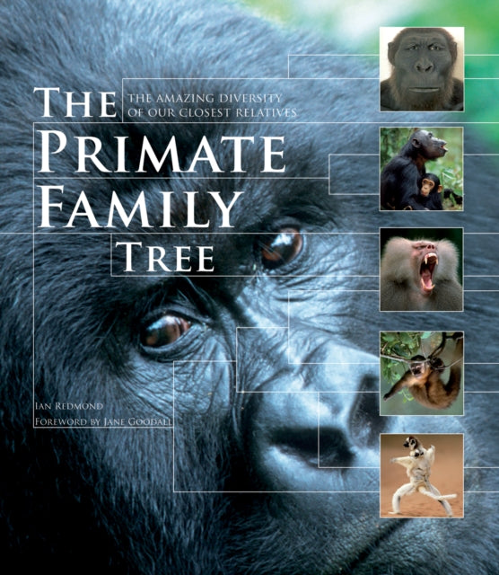 The Primate Family Tree: The Amazing Diversity of