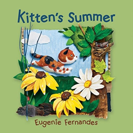 Kittens Summer Kitten Seasons