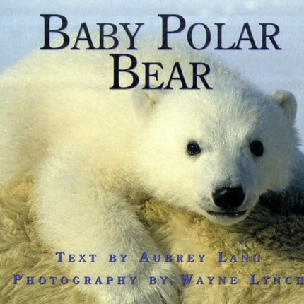 Baby Polar Bear Nature Babies Series