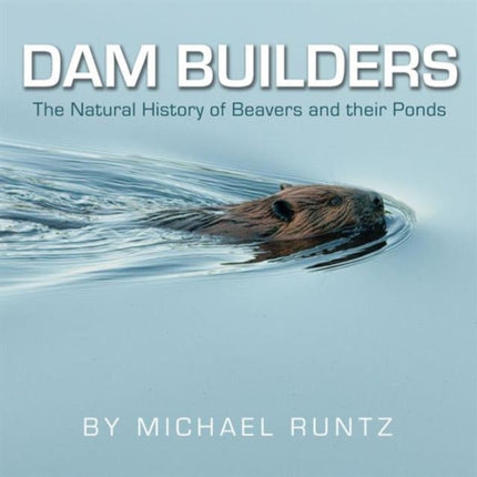 Dam Builders The Natural History of Beavers and Their Ponds
