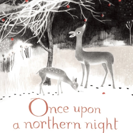 Once Upon a Northern Night