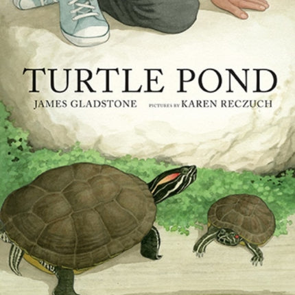 Turtle Pond