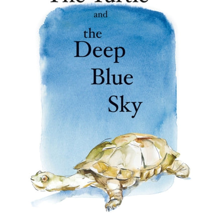 The Turtle and the Deep Blue Sky