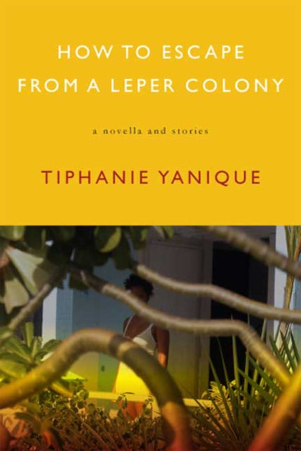 How to Escape from a Leper Colony  A Novella and Stories