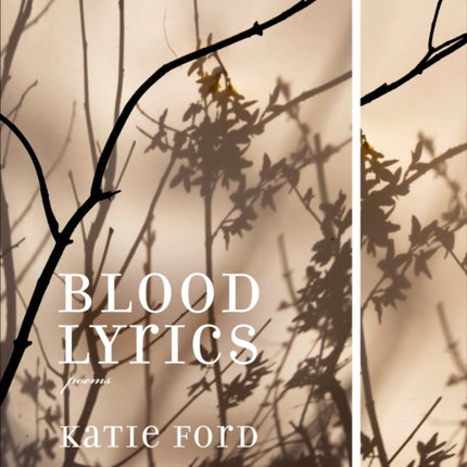 Blood Lyrics  Poems