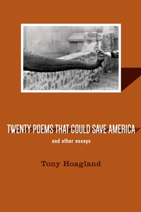 Twenty Poems That Could Save America And Other Essays