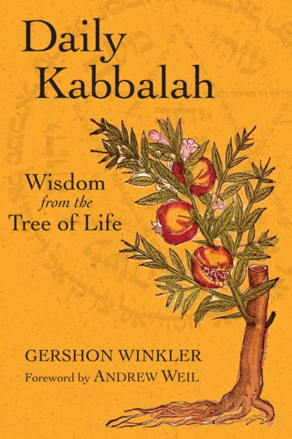 Daily Kabbalah: Wisdom from the Tree of Life