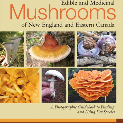 Edible and Medicinal Mushrooms of New England and Eastern Canada: A Photographic Guidebook to Finding and Using Key Species