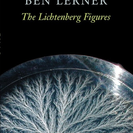 The Lichtenberg Figures