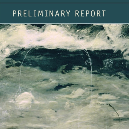 Preliminary Report