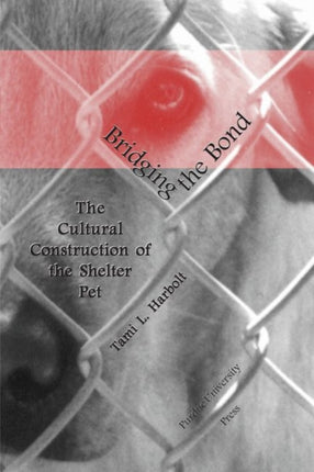 Bridging the Bond: The Cultural Construction of