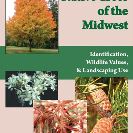 Native Trees of the Midwest: Identification, Wildlife Value, and Landscaping Use