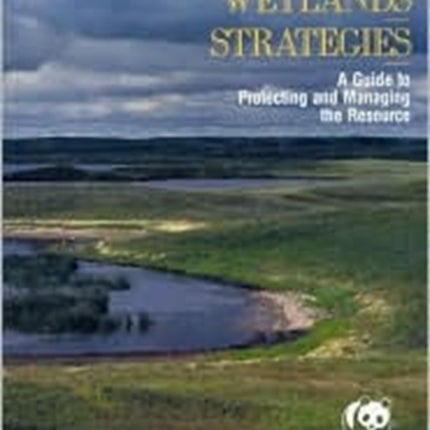 Statewide Wetlands Strategies