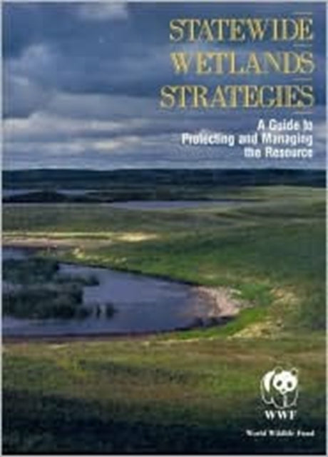 Statewide Wetlands Strategies