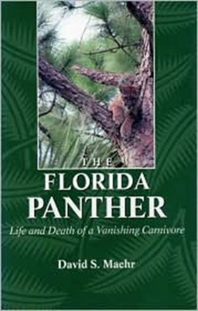 The Florida Panther: Life And Death Of A Vanishing Carnivore