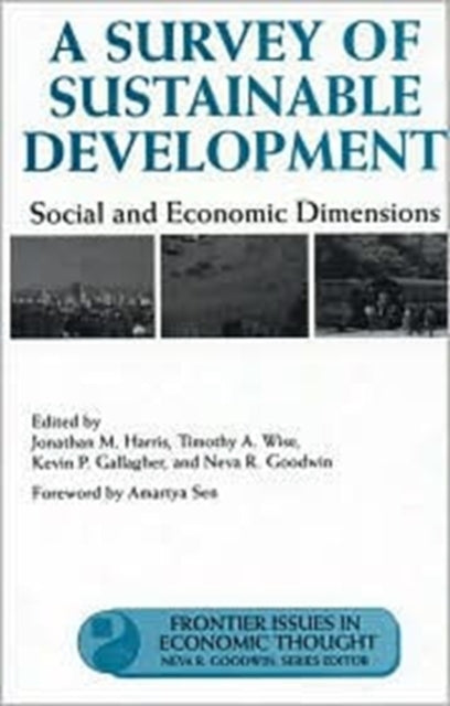 A Survey of Sustainable Development: Social And Economic Dimensions