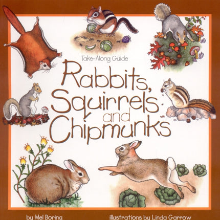 Rabbits, Squirrels and Chipmunks