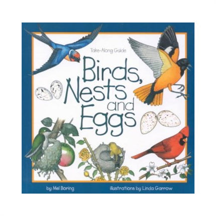 Birds, Nests, and Eggs