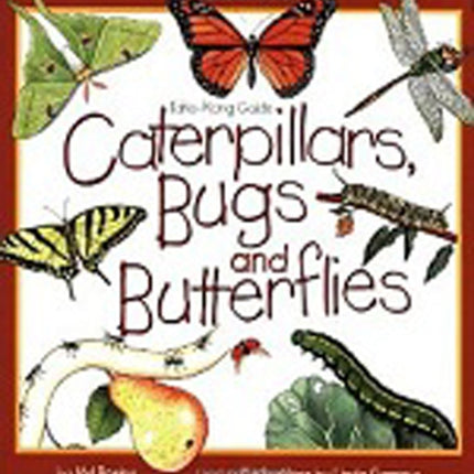 Caterpillars, Bugs and Butterflies: Take-Along Guide