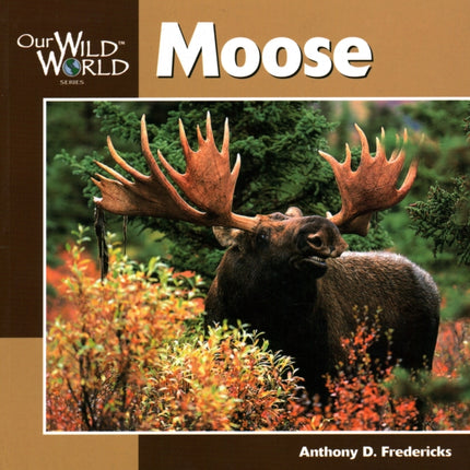 Moose