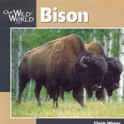 Bison Our Wild World Series