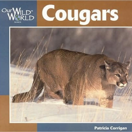 Cougars