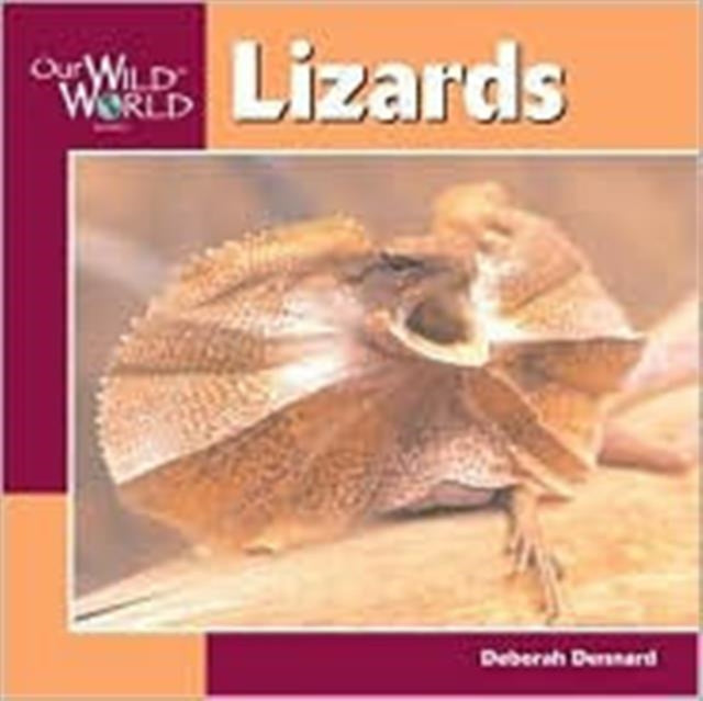 Lizards