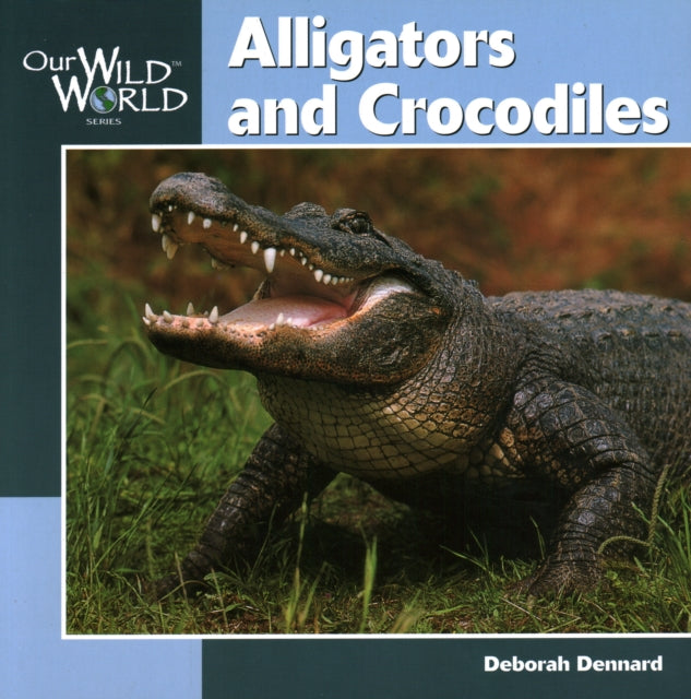 Alligators and Crocodiles