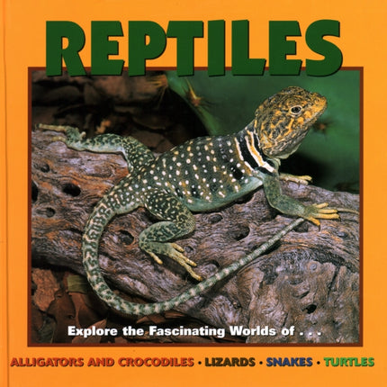 Reptiles: Alligators and Crocodiles, Lizards, Snakes and Turtles