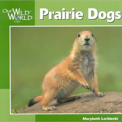 Prairie Dogs