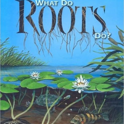 What Do Roots Do?