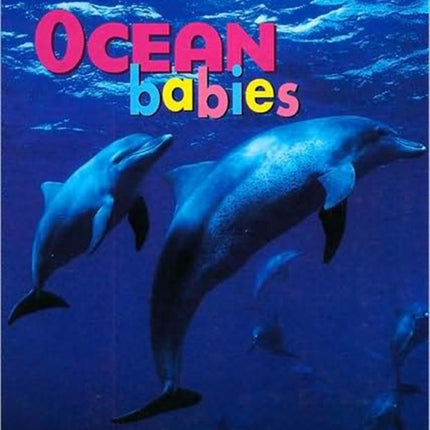 Ocean Babies BD
