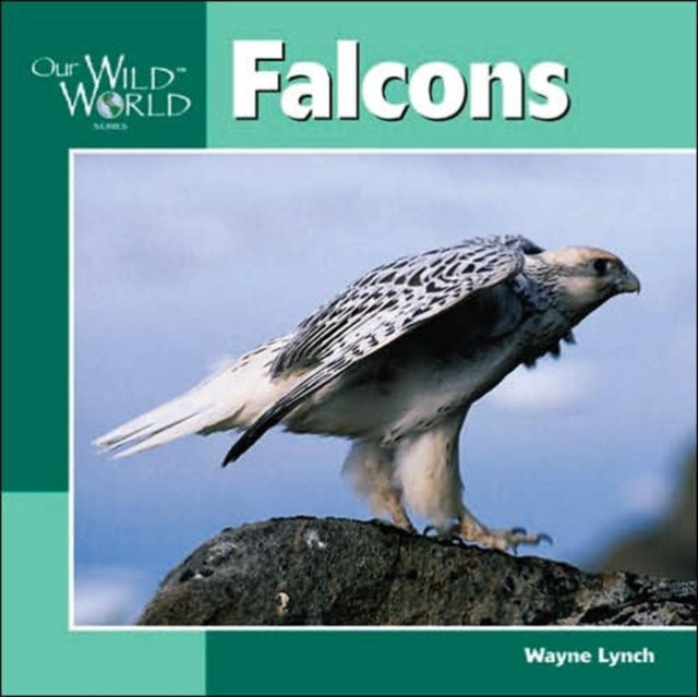 Falcons