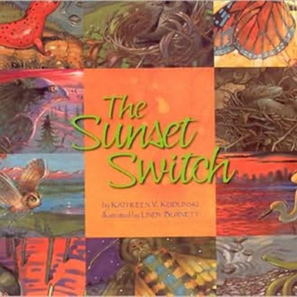 The Sunset Switch