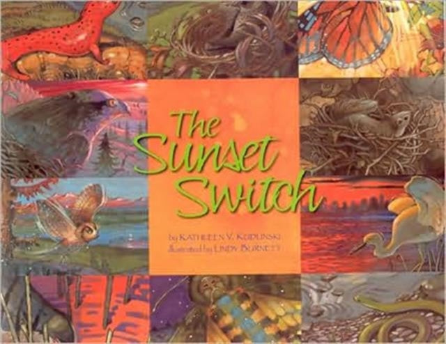 The Sunset Switch