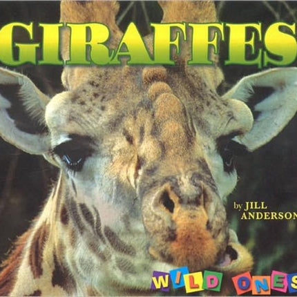 Giraffes