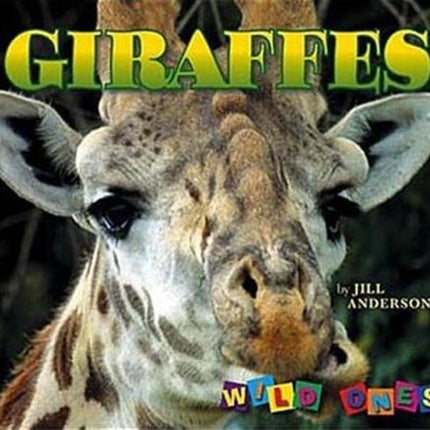 Giraffes