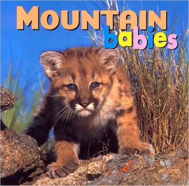 Mountain Babies